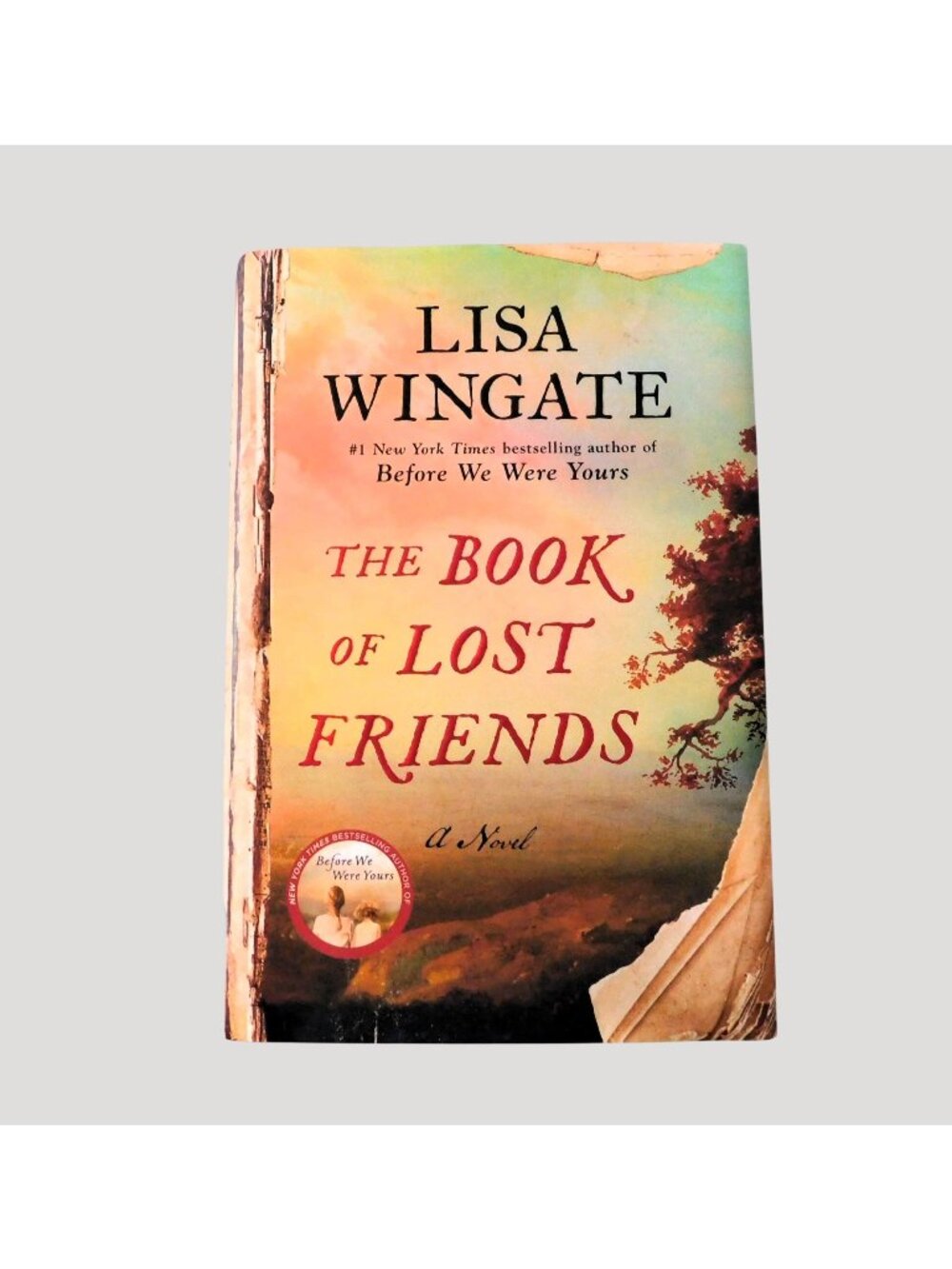 The Book Of Lost Friends Lisa Wingate 1st Edition 2020 Historical Fiction HBDJ